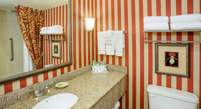 Двухместный номер Standard Jetted Tub Holiday Inn Express & Suites Bloomington by IHG