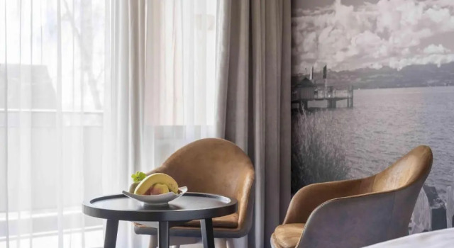 Номер Standard Appartement Hotel Seerose