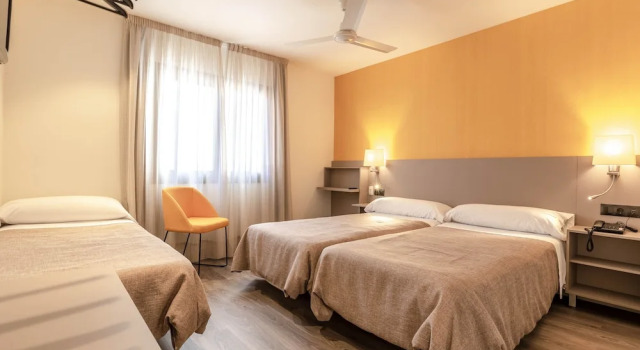 Трёхместный номер Hotel Zeus