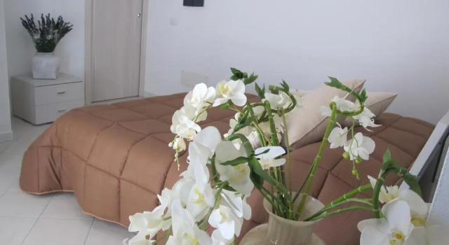 Люкс Guest House Suite