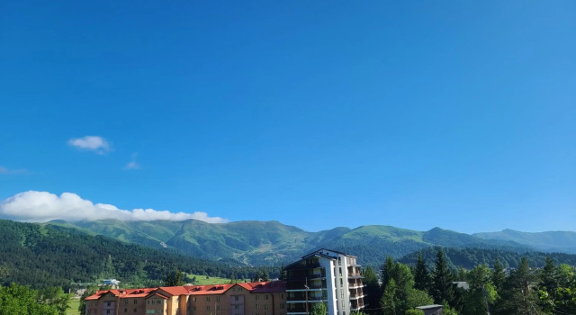 Bakuriani City Panorama Flat