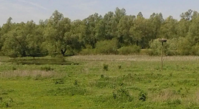 Fewo 67, Забронировать Отель Клеве Lower Rhine