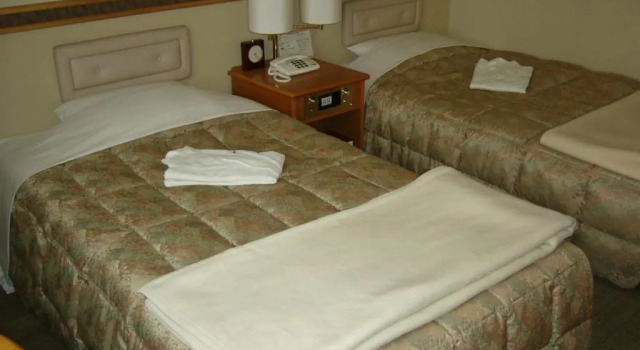 Номер Standard Ageo Tobu Hotel