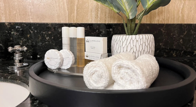 Одноместный номер Standard Eurobuilding Express Maracay