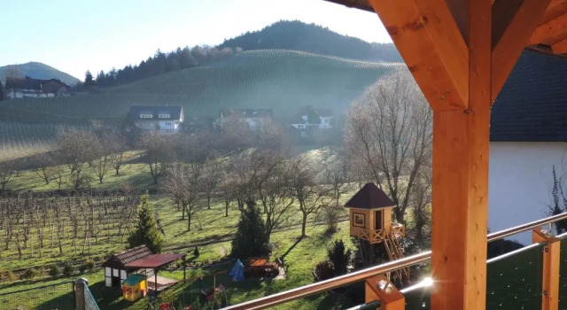 Люкс Hotel Faxe Schwarzwälder Hof