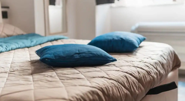 SanCosmoSuite