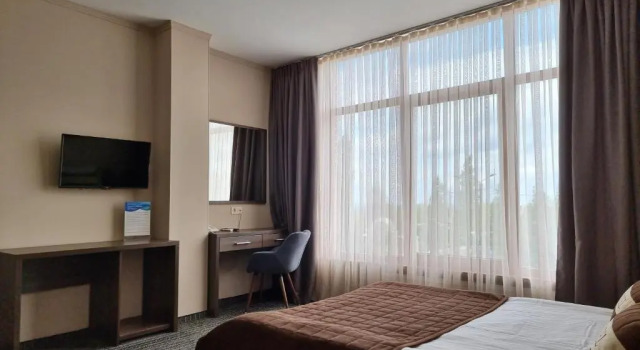 Номер Standard Wellotel Yuzhne