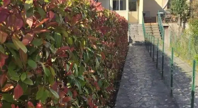 Studio Belles Prestations En Cevennes (Adults Only), Prenota Appartamento Hotel a Cevenne con parcheggio, Parcheggio