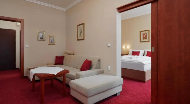 Люкс Deluxe Wellness Hotel Lužan