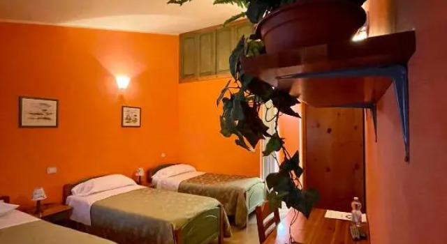 Standard room Orchidea