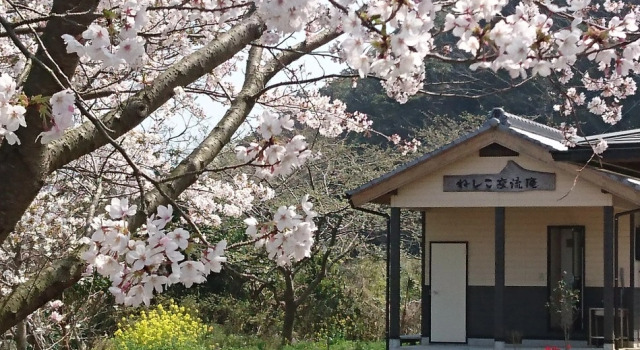 Guest House Neshiko Koryuan, Prenota Affittacamere Hotel a Kyushu con parcheggio, Parcheggio