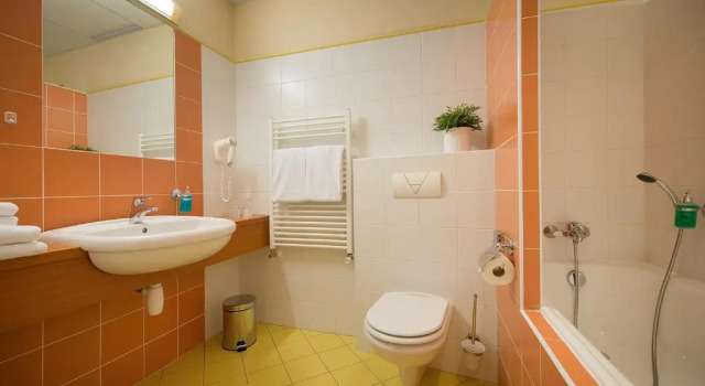 Двухместный номер Standard Hotel Grand Litava Beroun