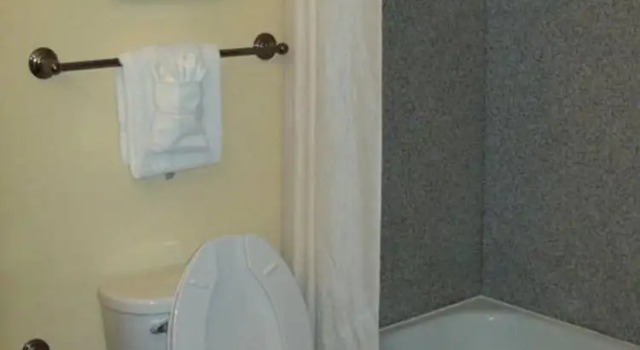 Четырёхместный номер Standard Magnolia Inn and Suites Pooler