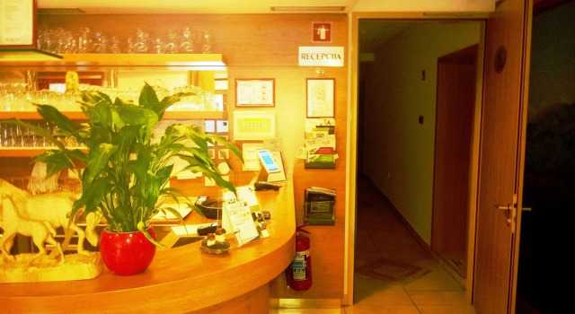 Hotel Vodnik & Apartments