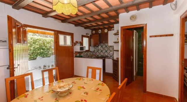 Calsina Bax 2h