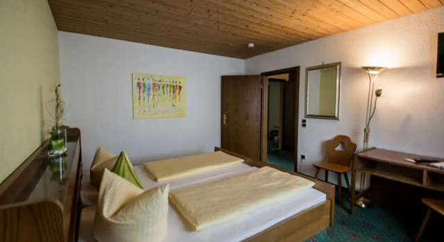 Двухместный номер Standard Hotel Avenue Altenfurt