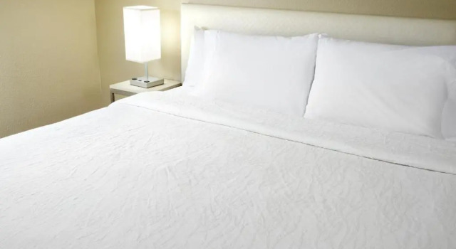 Двухместный номер Hilton Garden Inn Savannah Midtown