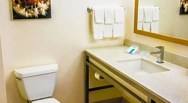 Номер Standard Hilton Garden Inn Dover
