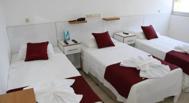 Трёхместный номер Standard с видом на горы Aelbistan Otel