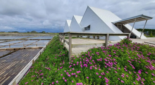 Barcos Casa Aveiro, Забронировать Отель Отели Авейру с бассейном, рядом с Museu de Aveiro, Бассейн