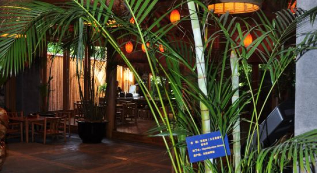 Rehai Hot Spring Resort · Yangshengge, Rezerwuj Ośrodek wypoczynkowy Hotele SPA w Baoshan, SPA