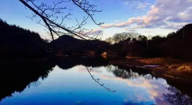 直岛背包客旅馆, 预订 酒店 直岛町 香川县