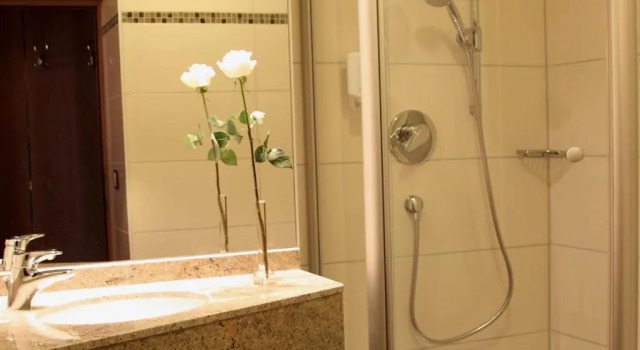 Одноместный номер Comfort Hotel am Schlosspark Zum Kurfürst