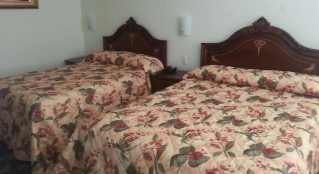 Standard- dobbelt værelse Hotel Eden Resort By Bluebay