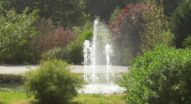 Schwarzwaldhotel Erdrichshof, Réserver Hôtel Hôtels à Bade-Wurtemberg avec parking, Parking