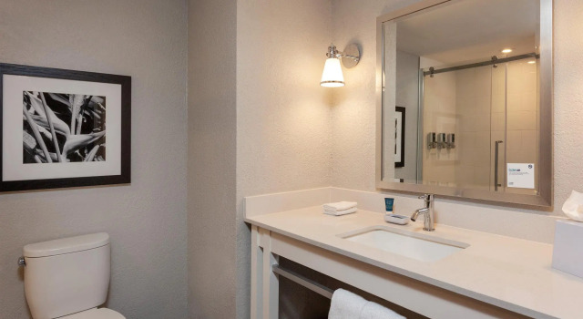 Двухместный номер Standard Four Points by Sheraton Caguas Real