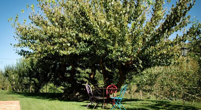 Апартаменты с видом на сад Agriturismo I Gelsi di Santa Cristina