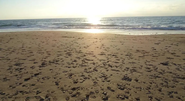Luz de la Bahía II - Bahía Sur - Cádiz