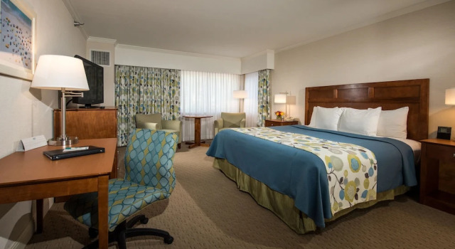 Номер Premium Juniper Hill Inn