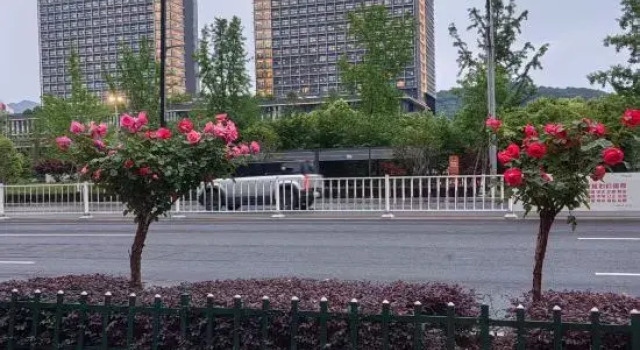 Xinwang Hotel (Taizhou Hospital East Campus), Rezerwuj Hotel Taizhou Zhejiang
