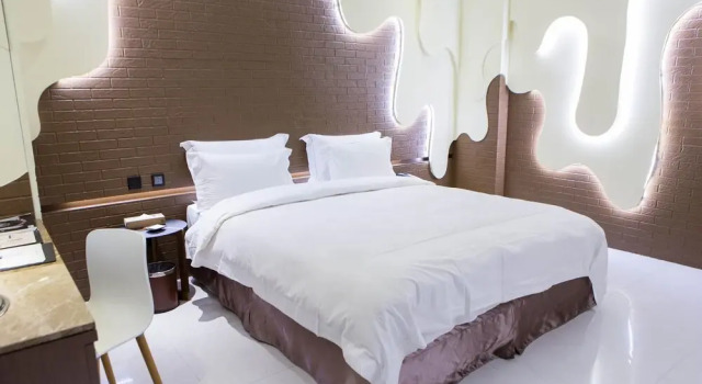 Люкс Standard ALL-UR Chain Boutique Motel