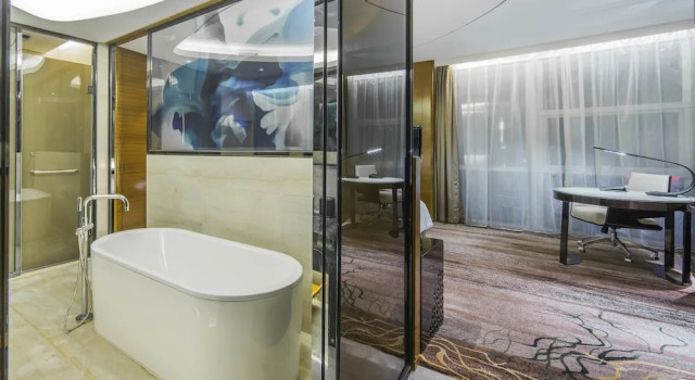 Двухместный клубный номер Superior с видом на город Sofitel Nanjing Galaxy Suning
