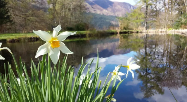 Invergloy Riverside Lodges, Buchen Sie Hotel Hotels in Schottland mit Parkplatz, Parkplätze