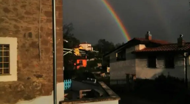 Il fiordaliso