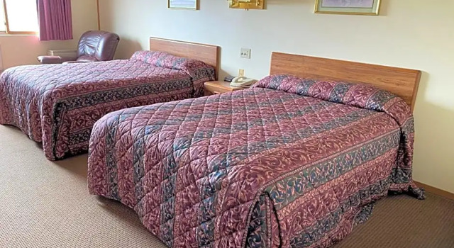 Standard- firedobbelt værelse AmeriVu Inn and Suites