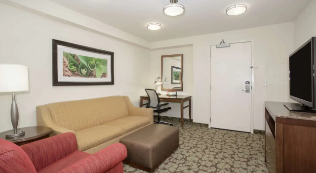 Двухместный люкс c 1 комнатой Hilton Garden Inn Lincoln Downtown/Haymarket