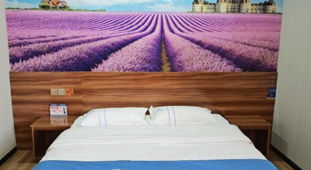 Люкс Deluxe Rujia Huayi Hotel (Linshu New Street store)