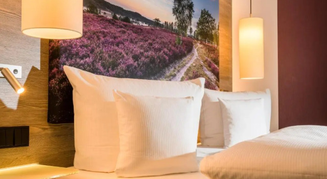 Номер Standard Hotel Celler Tor