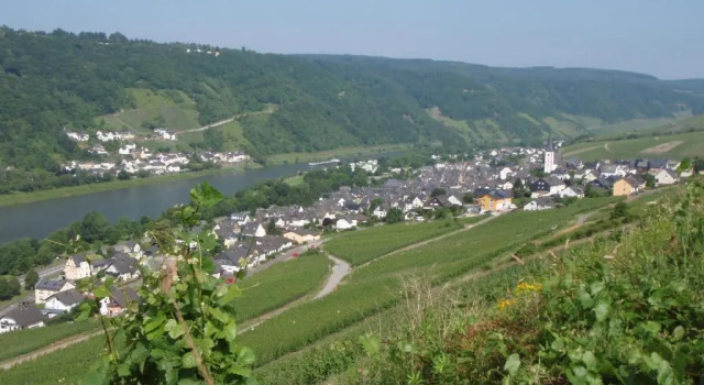 Номер Standard Weingut Stiftshof