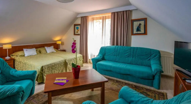 Номер Superior Betekints Wellness Hotel