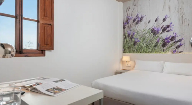 Номер Standard HBE Boutique España - Turismo de Interior