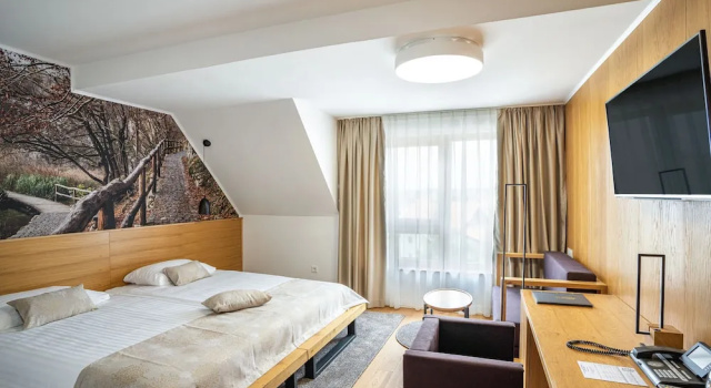 Номер Comfort Hotel Palcich