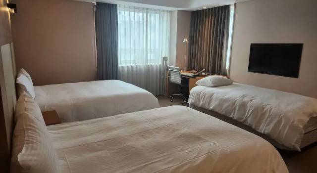 Двухместный семейный номер Standard с видом на город Acube Hotel Dongdaemun