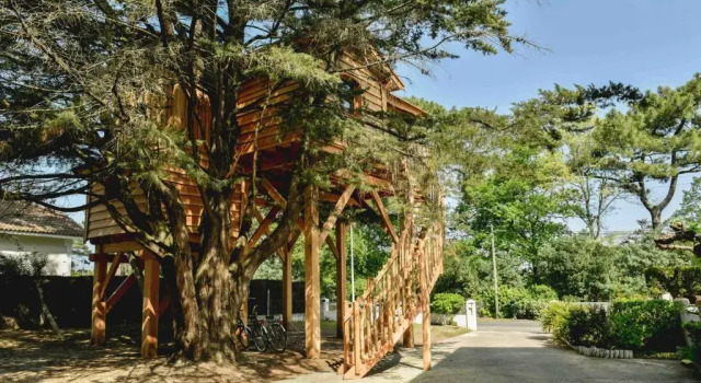 Номер Standard Logis Hôtel Emeraude des Bois