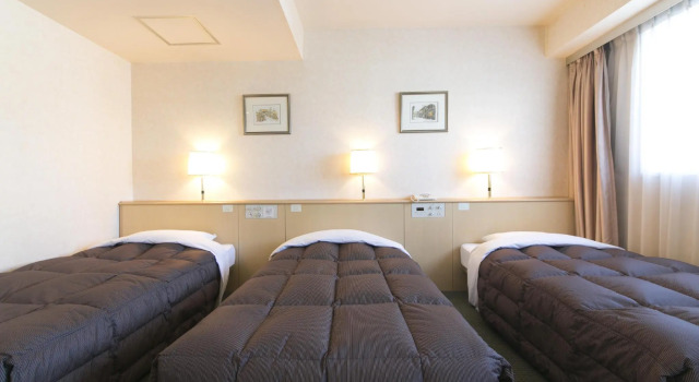Трёхместный номер Standard Hida Takayama Washington Hotel Plaza