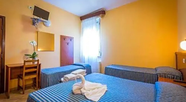 Четырёхместный номер Standard Hotel Real